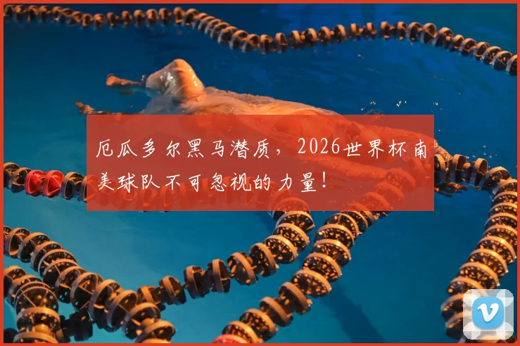 厄瓜多尔黑马潜质,2026世界杯南美球队不可忽视的力量!