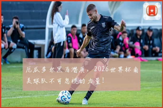 厄瓜多尔黑马潜质,2026世界杯南美球队不可忽视的力量!